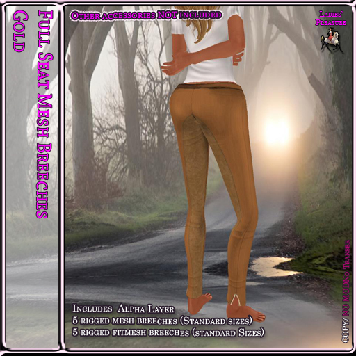 ~LP~ Full Seat Mesh Breeches BOXED Gold