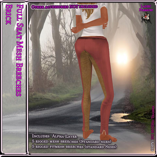 ~LP~ Full Seat Mesh Breeches BOXED Brick