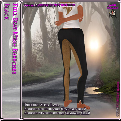 ~LP~ Full Seat Mesh Breeches BOXED Black