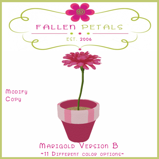 ~FP~ Potted Marigold B Copy