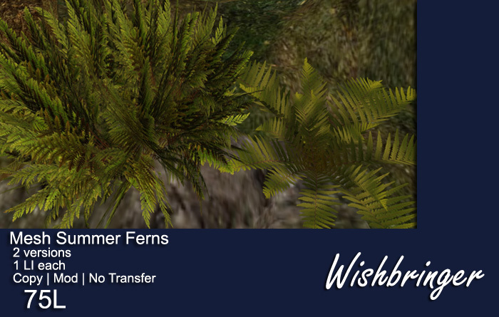 Wishbringer Summer Fern
