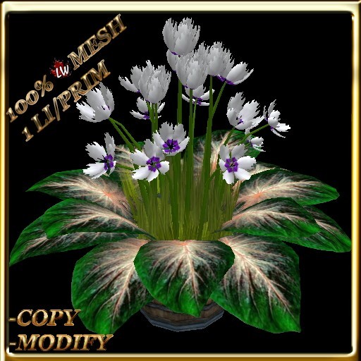 LW_JapaneseBallonFlowersWhite