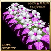LW_ Primroses and Coleus Planter -  Raspberry Fringed (1 LI / Prim)