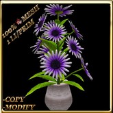 LW_ Mesh Daisy Plant in Vase -  Purple White (1 LI / Prim)