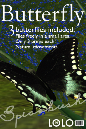 3 Free-flying Butterflies - Spicebush