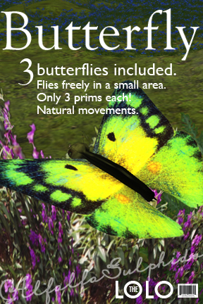 3 Free-flying Butterflies - Alfalfa Sulphide