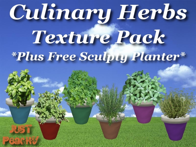 Culinary Herbs Texture Pack 