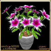 LW_ Mesh Potted Carnations - Deep Pink White Fringe (1 LI / Prim)