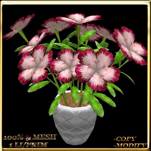 LW_JapaneseBallonFlowersWhite