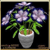 LW_JapaneseBallonFlowersWhite