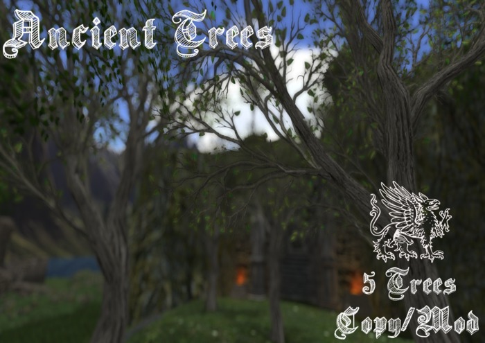 Worlds End - Ancient Tree Grove - C/M - Mesh