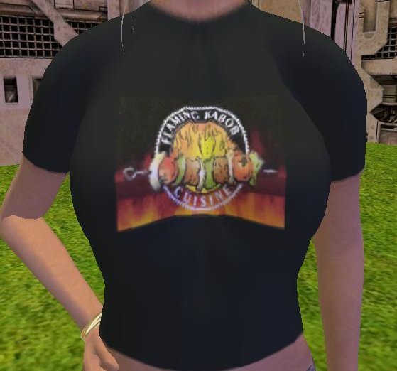 Flaming Kabob T-Shirt