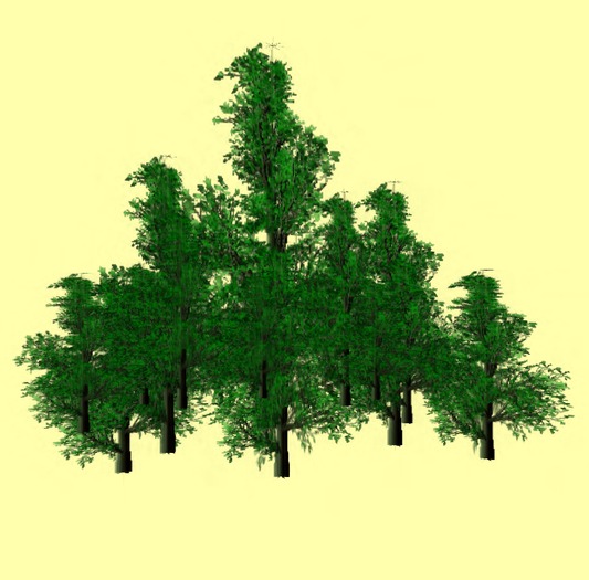 Arvores 1 prim _ #13