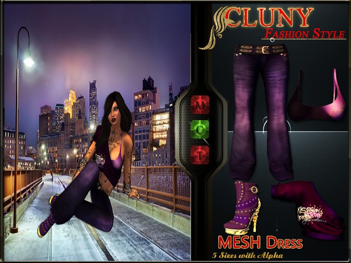 =C.F.S= Mesh outfit rock