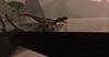 Allosaurus 016