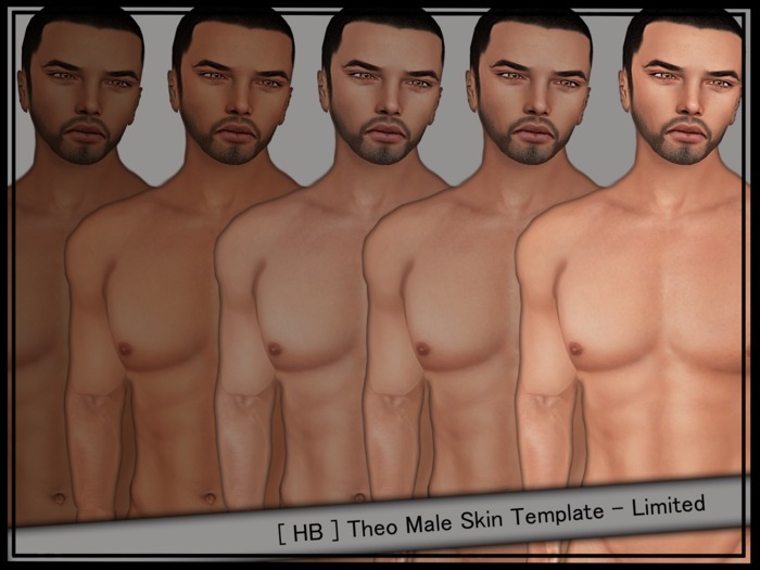 [ SM ] Theo Male Skin Template - Limited