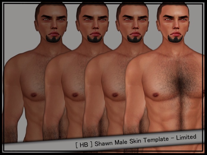 Shawn Male Skin Template - Limited