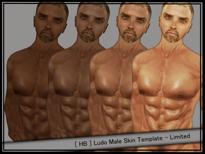 [ SM ] Ludo Male Skin Template - Limited
