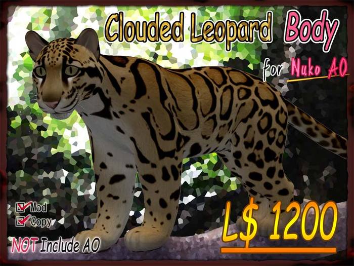 Clouded Leopard Body Ssize