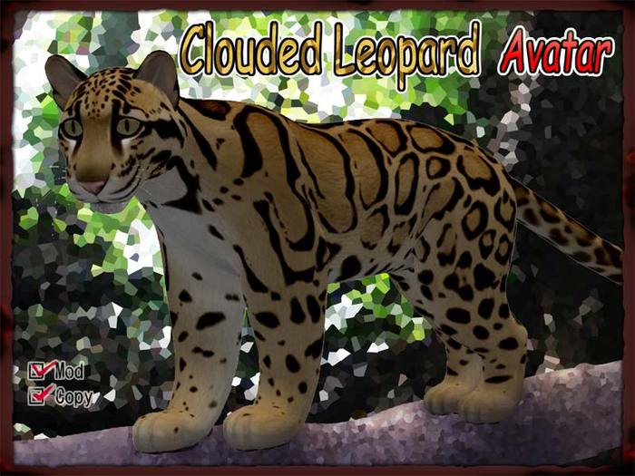 Clouded Leopard Avatar XSsize