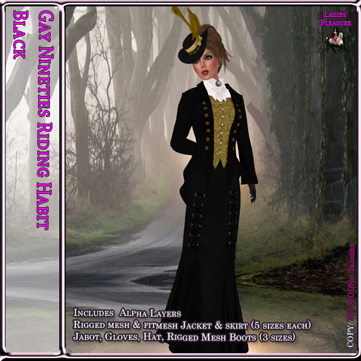 ~LP~ Gay Nineties Riding Habit BOXED Black