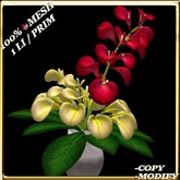 LW_CallaLily4Vase_2