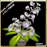 LW_CallaLily4Vase_2
