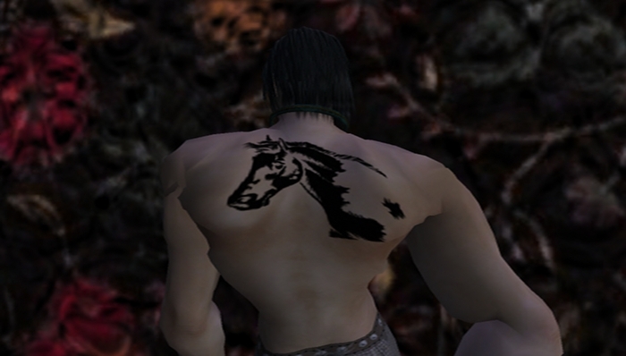 Horse Back Tatoo