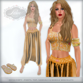 *Lurve* Mesh Hop Pants Full Outfit - Gold