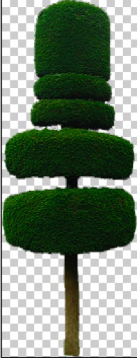 Topiary Plant 1