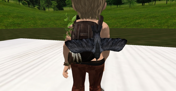 little backpack crow -TD