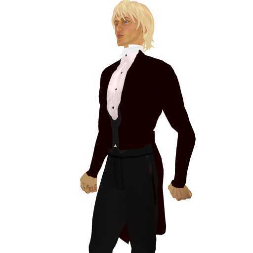 Dark Red Tailcoat