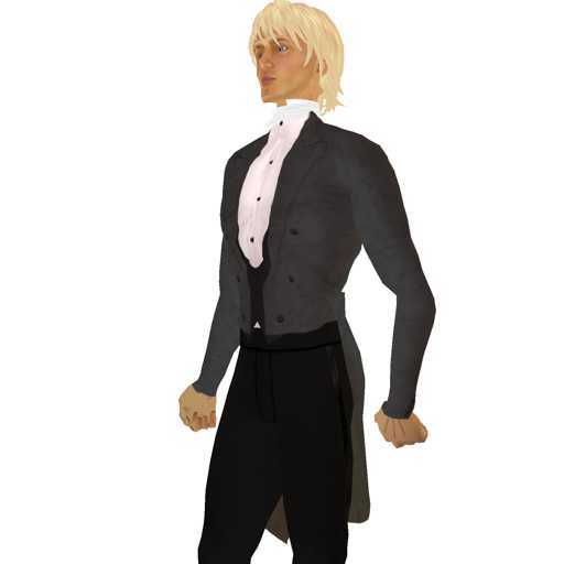 Dark Grey Tailcoat