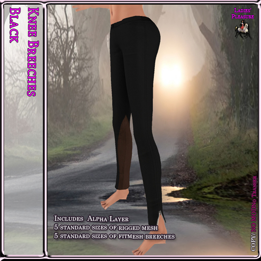 ~LP~ Knee Mesh Breeches BOXED Black