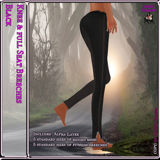 ~LP~ Shaped Seat & Knee Fitmesh Breeches BOXED Black