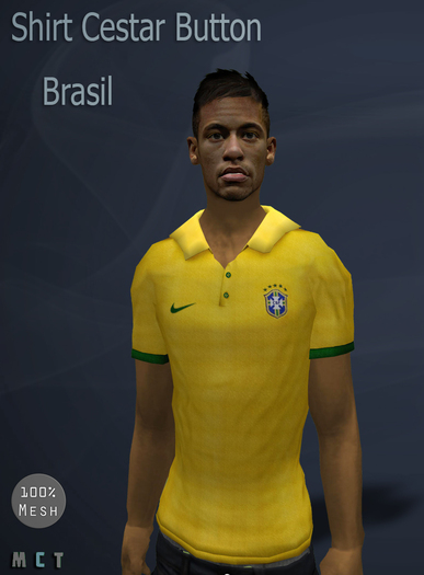 .:: shirt Cestar Button - Brasil ::.