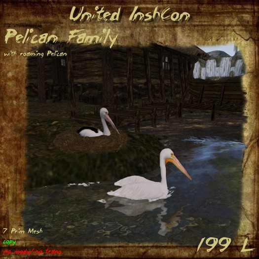 *UI* Pelican Family v