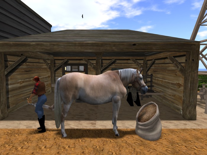 horse shoeing