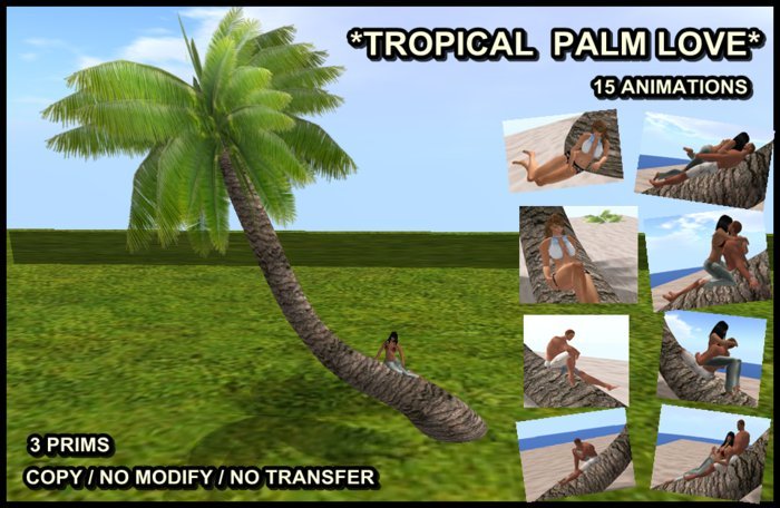 * Tropical Palm Love *