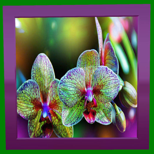 Alien Orchids Wall Art