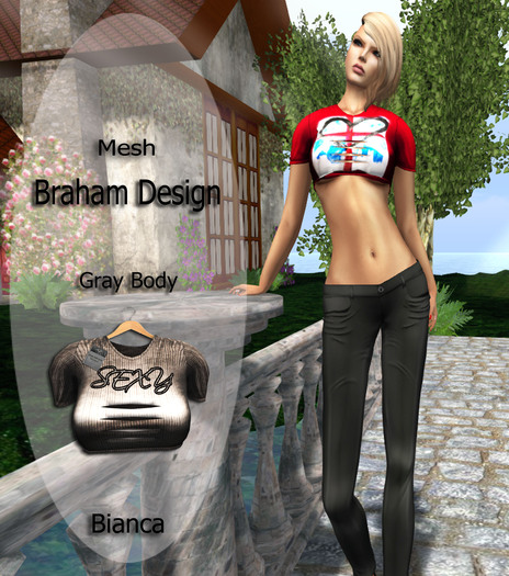 Braham Design Bianca Body Sexy Gray Mesh