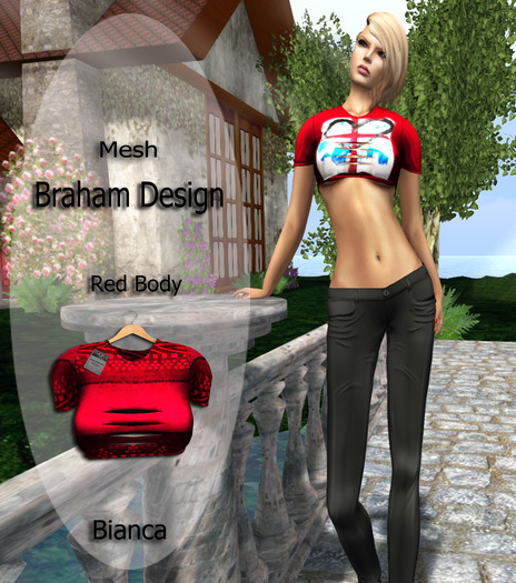 Braham Design Bianca Body Red Mesh