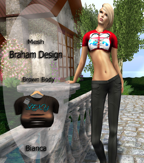 Braham Design Bianca Body Brown Mesh