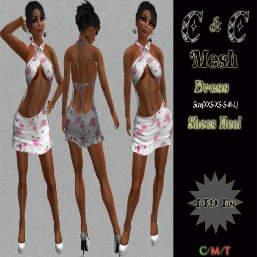 *clothes MESH woman Dress Shoes Heel (White)*