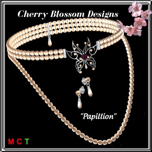 Papillon  Set (boxed)