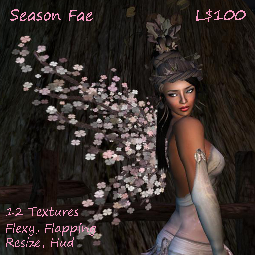 Season Fae Wings EN 12 Txt  Flexy Flap Resize