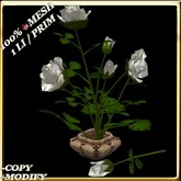 LW_ Potted Mesh Rose Bush - White 2 (1 LI / Prim)