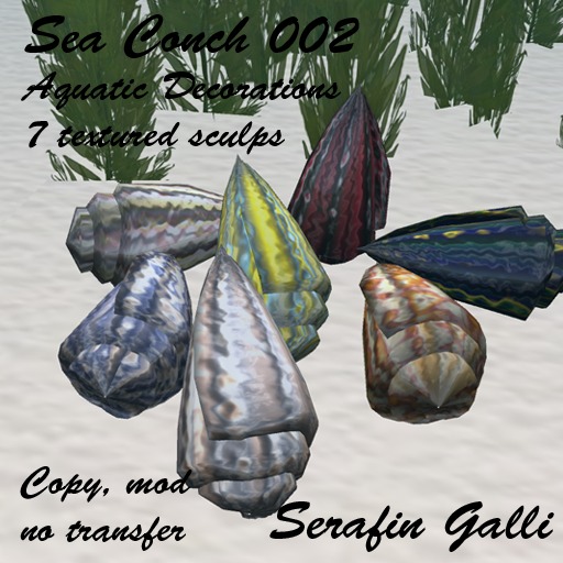 SG Sea Conks (Box) Marked