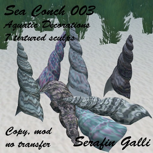 SG Sea Conks (Box) Marked