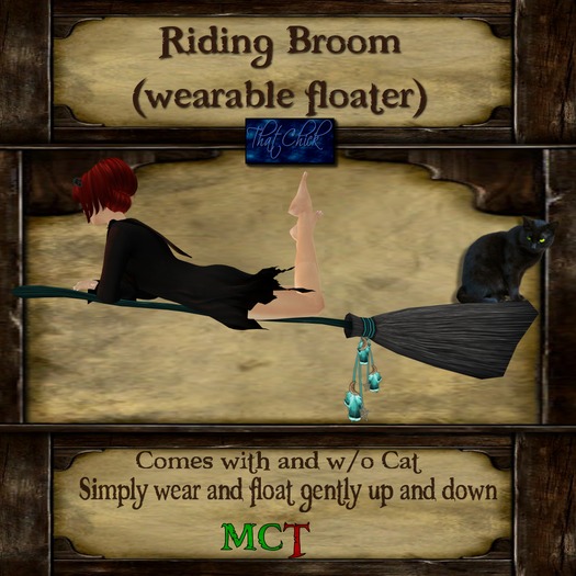 ~tc~ Riding Broom - Teal